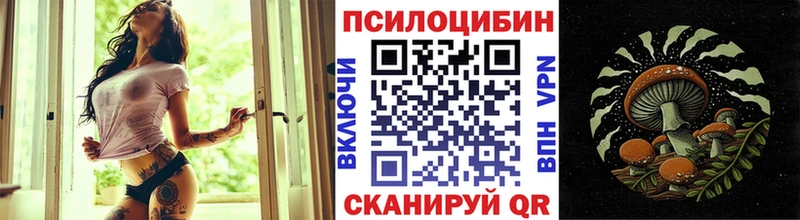 МЕГА как войти  Артём  Псилоцибиновые грибы Psilocybe 